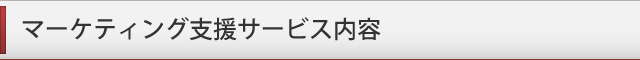 マーケティング支援サービス内容